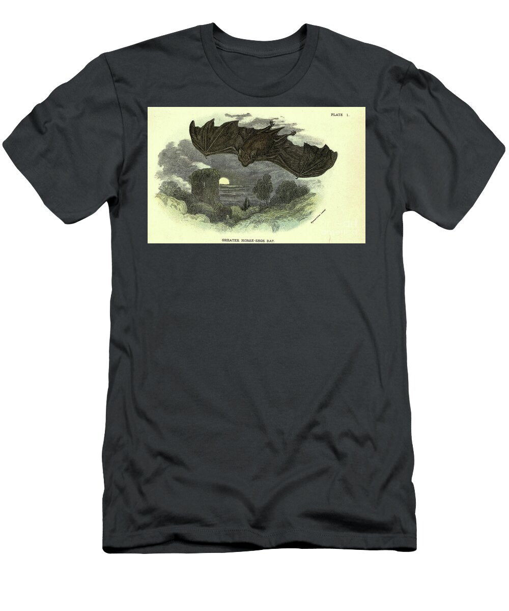 Greater Horseshoe Bat Rhinolophus Ferrumequinum N4 Historic Illustrations T-Shirt