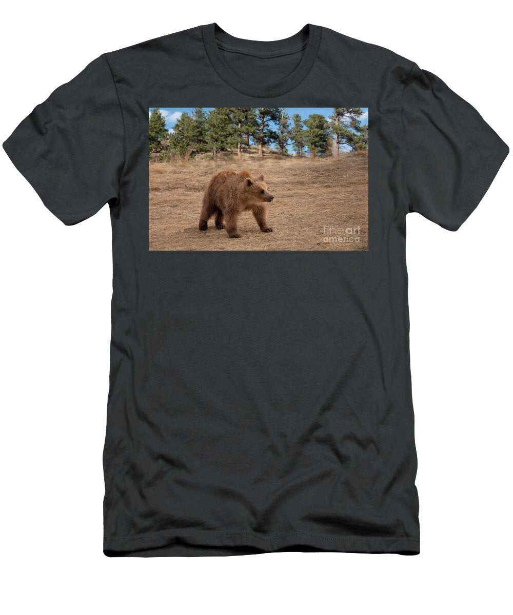 Grizzly Bear Cub in Golden Meadow of Rocky Mountains USA Georgia Evans T-Shirt