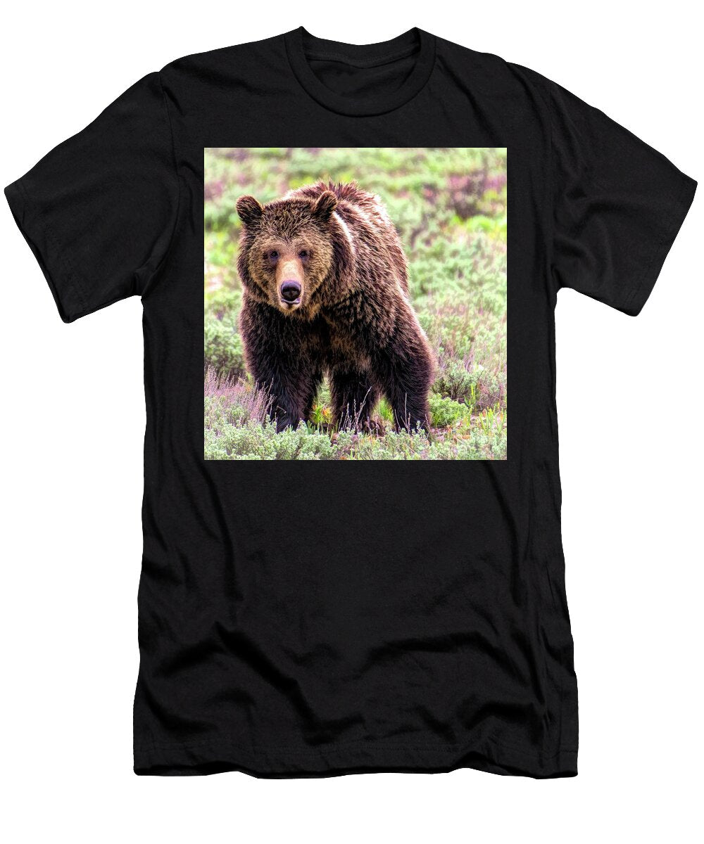 Grizzly Bear Finds Food in the Valley Logan Pierson T-Shirt
