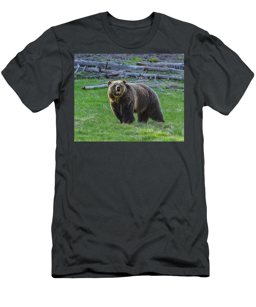 Grizzly Good Night Yeates Photography T-Shirt