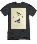 Grosbeak of South America 1835 U1 Historic Illustrations T-Shirt