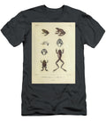 Ground Frog and Tree Frog B1 Historic Illustrations T-Shirt