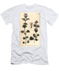 Ground Ivy Glechoma Hederacea Gymnospermia Sydenham Teast Edwards T-Shirt