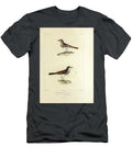 Ground Tyrant of South America 1835 U2 Historic Illustrations T-Shirt