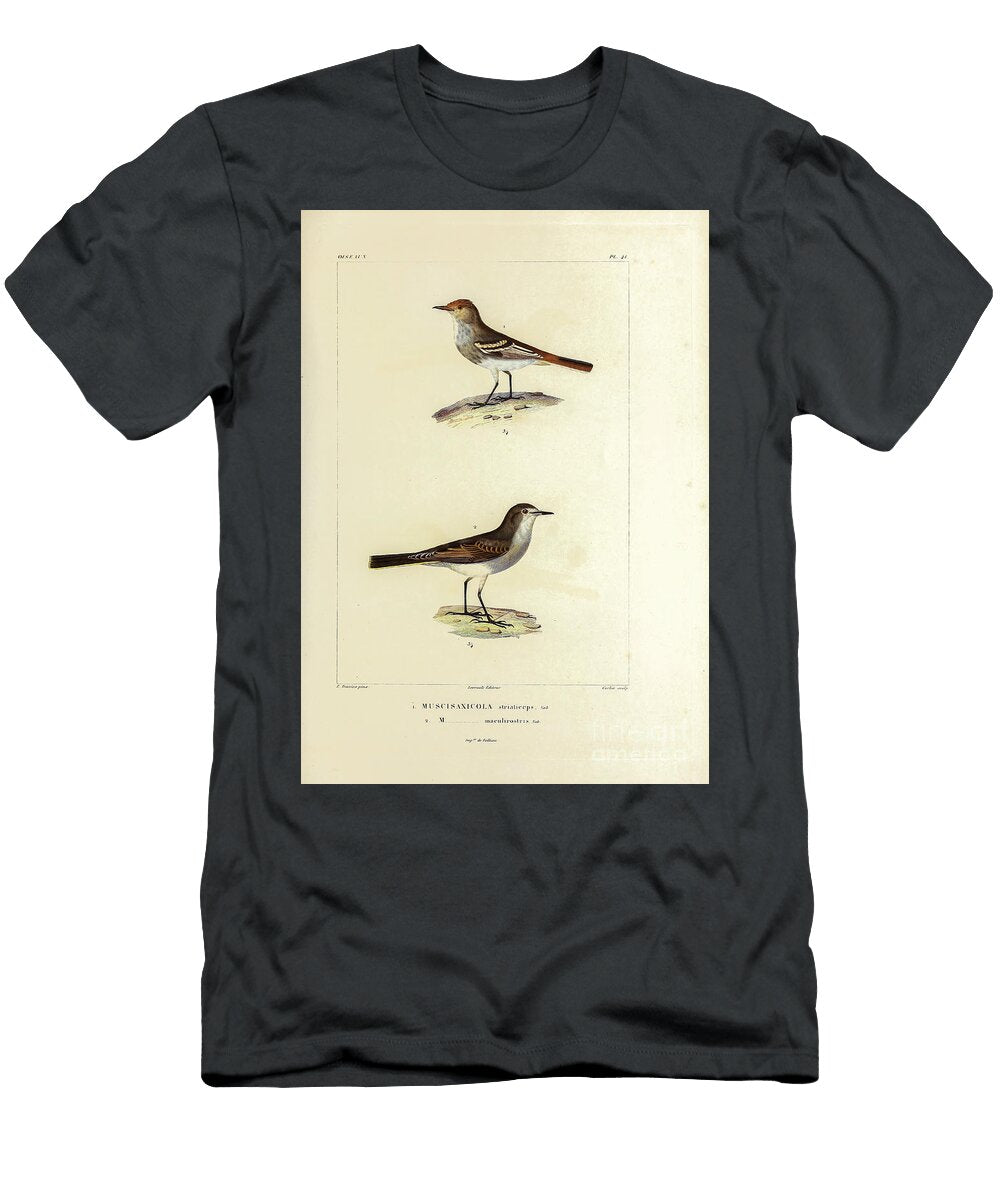 Ground Tyrant of South America 1835 U2 Historic Illustrations T-Shirt