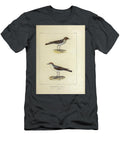 Ground Tyrants of South America 1835 U1 Historic Illustrations T-Shirt