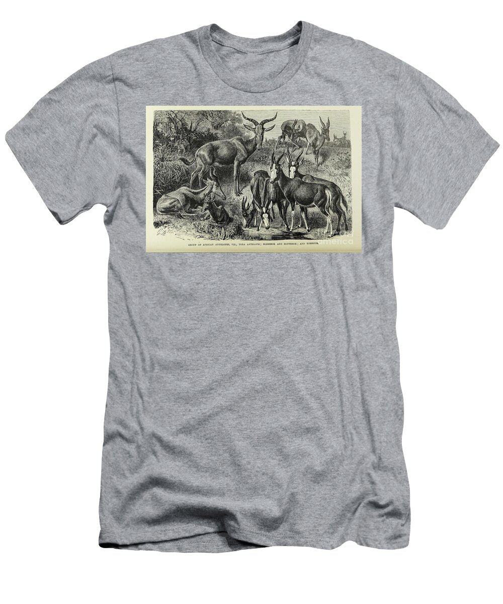 Group of African Antelopes M4 Historic Illustrations T-Shirt