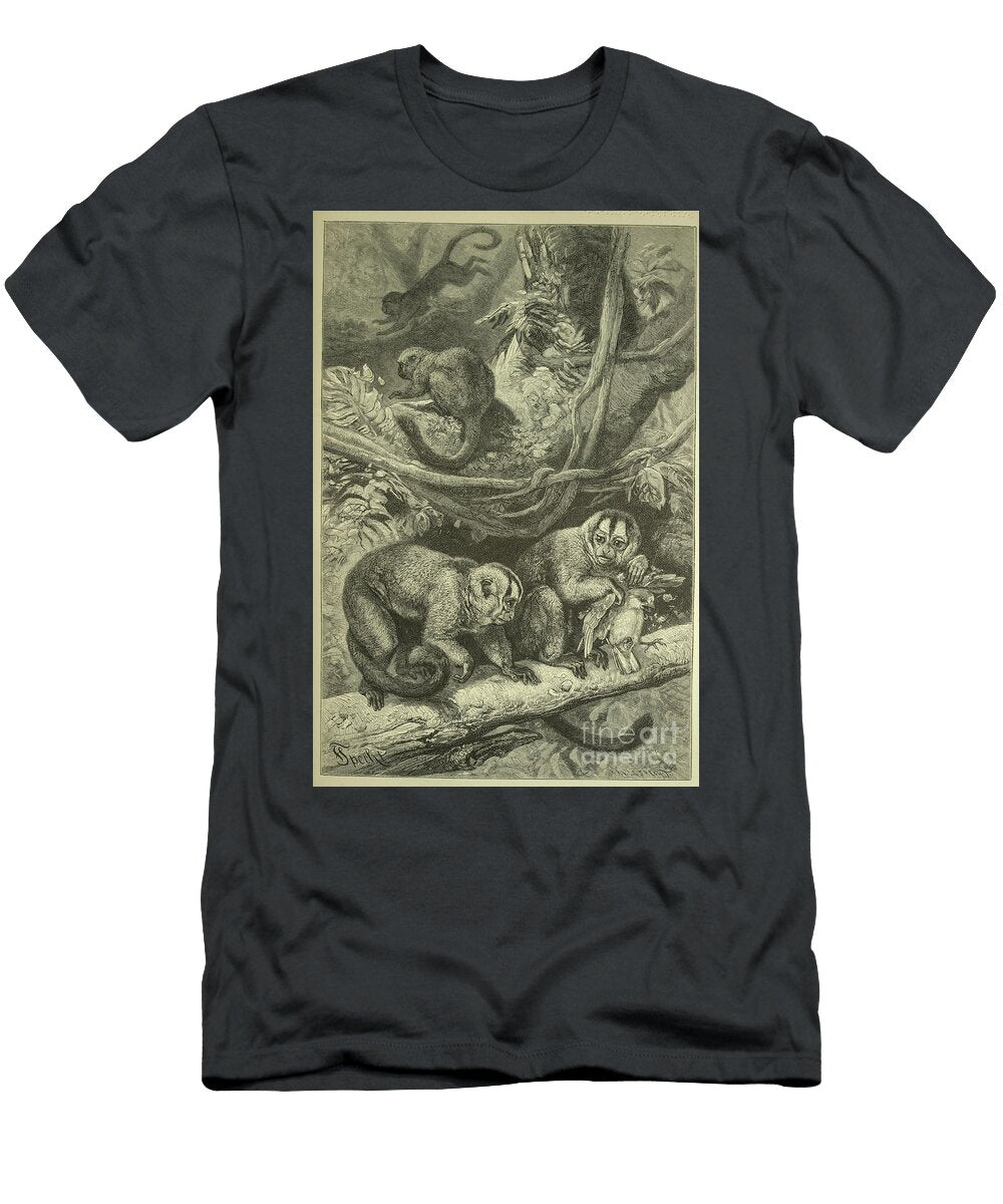 Group of Douroucoulis L5 Historic Illustrations T-Shirt