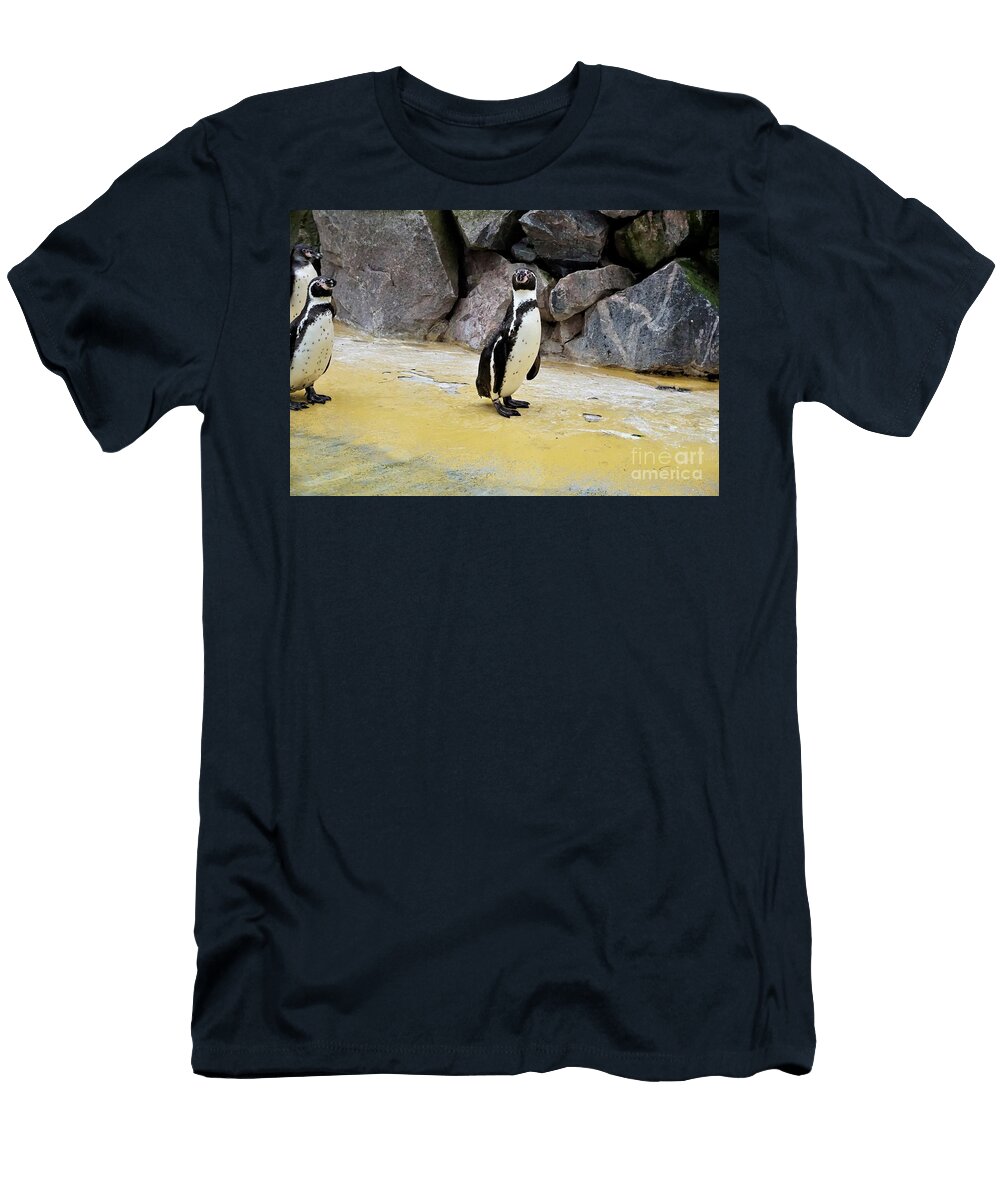 Group of Humboldt Penguins Standing Beside Pool Pisces2386 T-Shirt