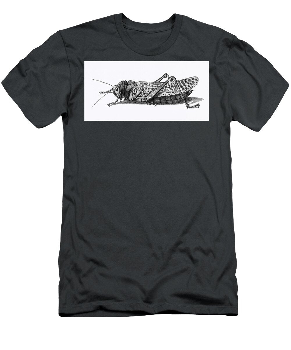 Gryllus From Zoological Lectures Delivered At the Royal Institution in the Years Illustrated Artistic Rifki T-Shirt