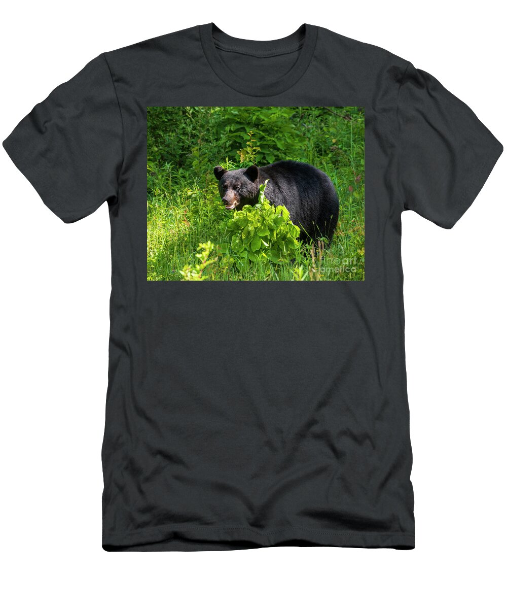Habitat Surrounded Black Bear Timothy Flanigan T-Shirt