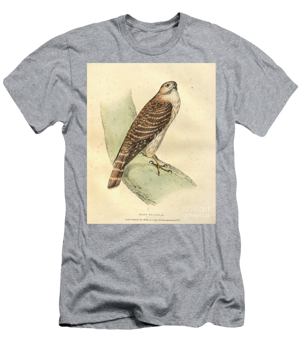 Hand Painted Merlin O2 Historic Illustrations T-Shirt