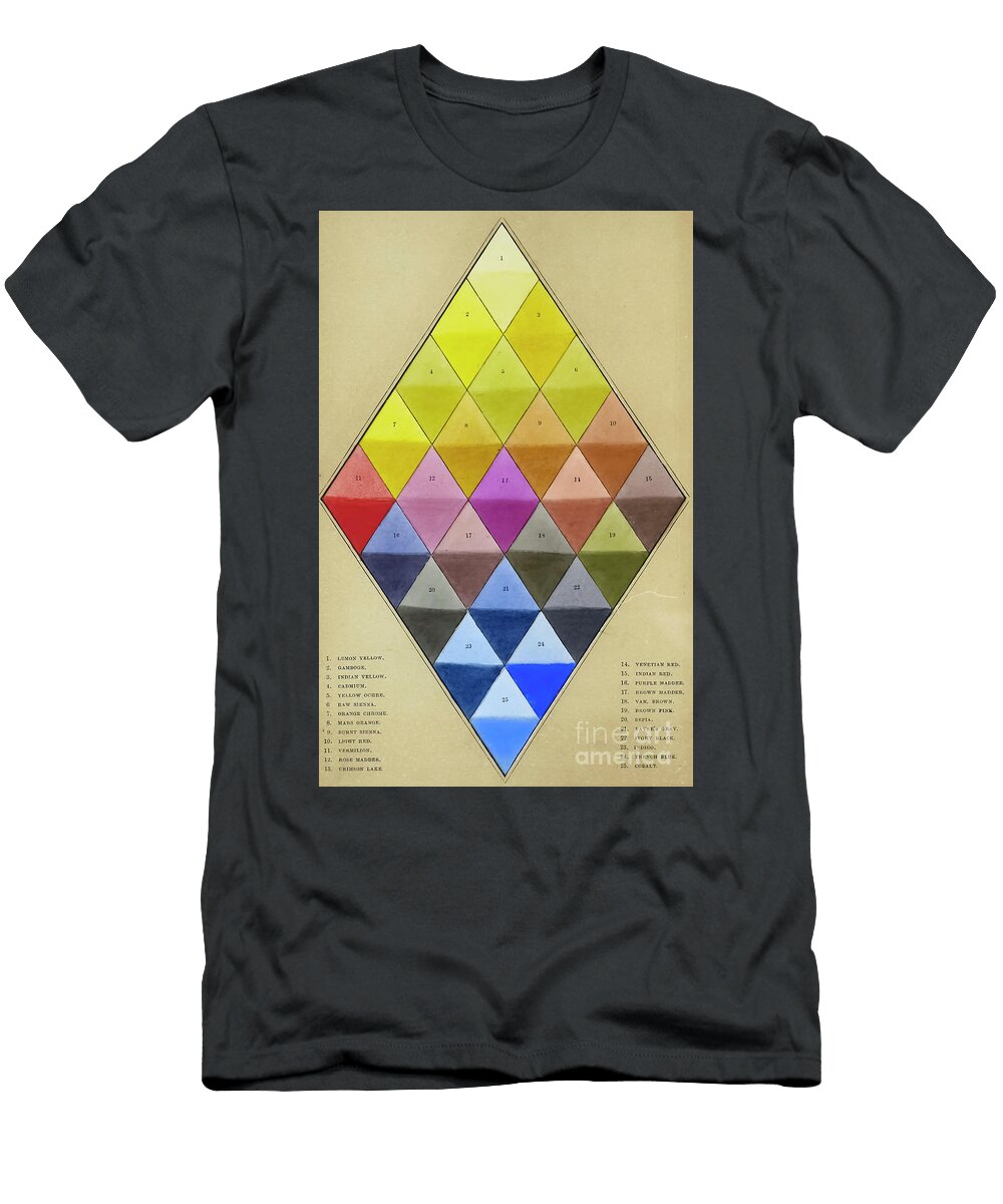 Harmonious Arrangement of Pigments I1 Historic Illustrations T-Shirt
