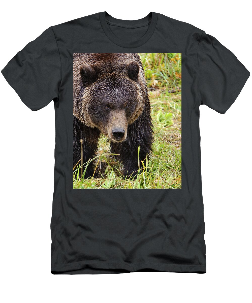 Head Lowered Grizzly Bear Timothy Flanigan T-Shirt