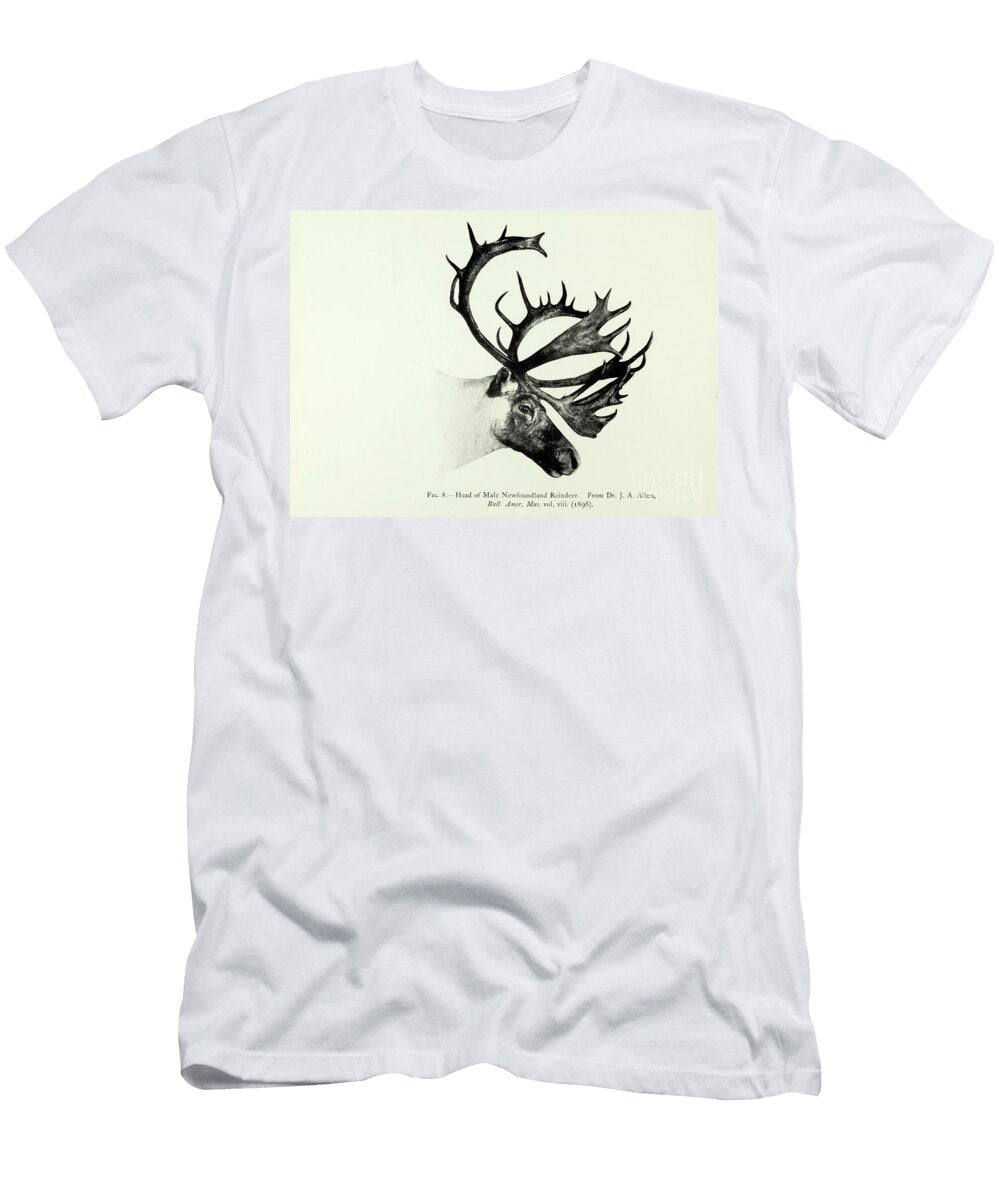 Head of a Male Newfoundland Reindeer O2 Historic Illustrations T-Shirt