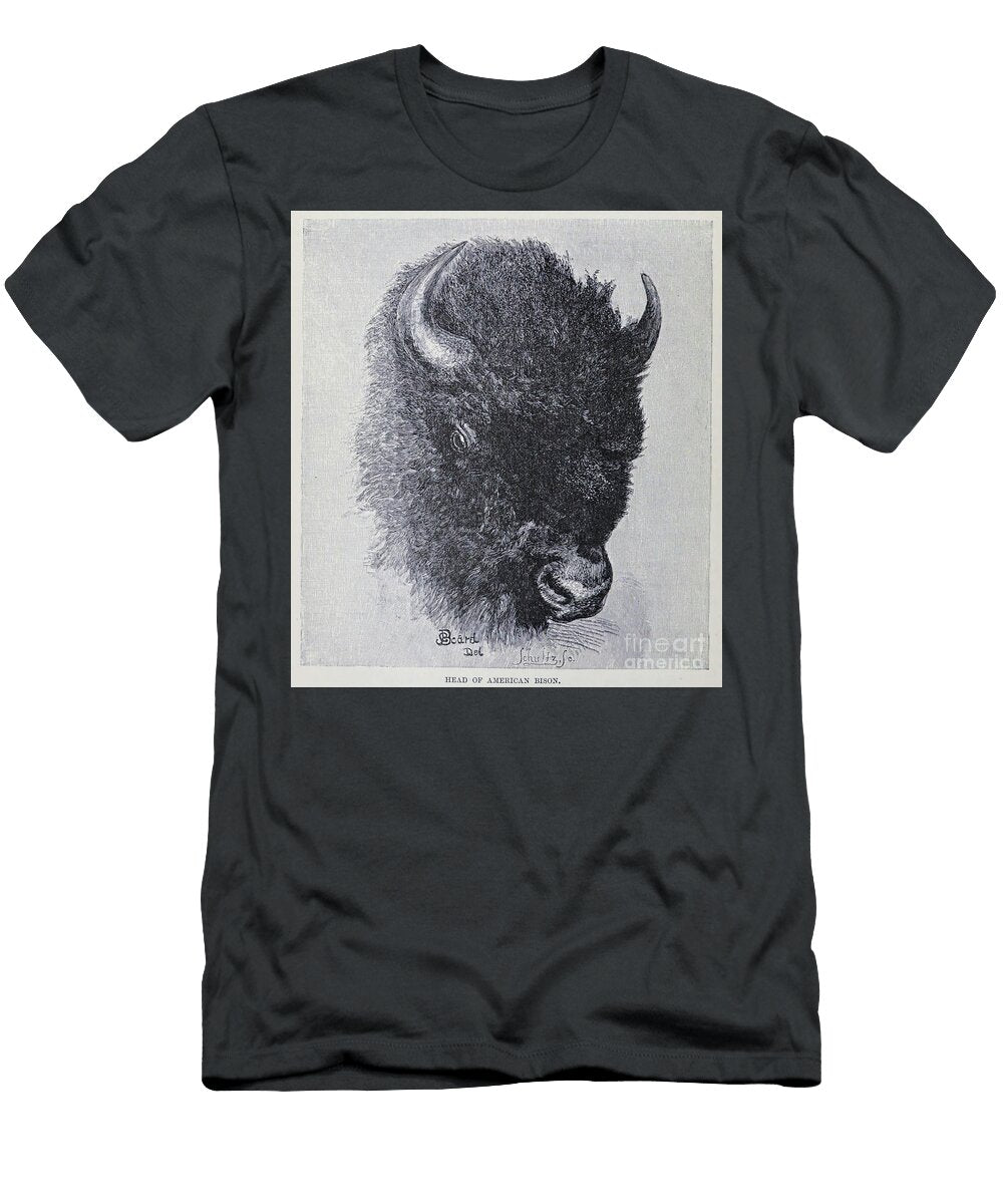 Head of American Bison Bison Bison M3 Historic Illustrations T-Shirt