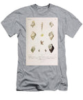 Helix Shells of Terebra Murex Ranella and Triton B1 Historic Illustrations T-Shirt