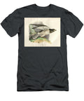 Hen Harrier Circus Cyaneus O1 Historic Illustrations T-Shirt