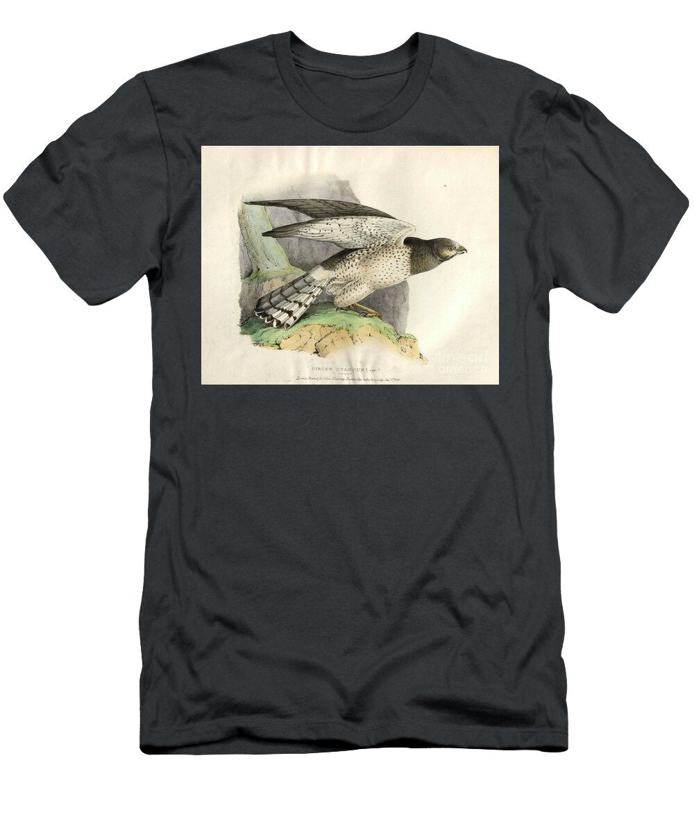 Hen Harrier Circus Cyaneus O1 Historic Illustrations T-Shirt