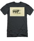 Hereford Bull Q1 Historic Illustrations T-Shirt