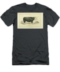 Hereford Cow Q1 Historic Illustrations T-Shirt