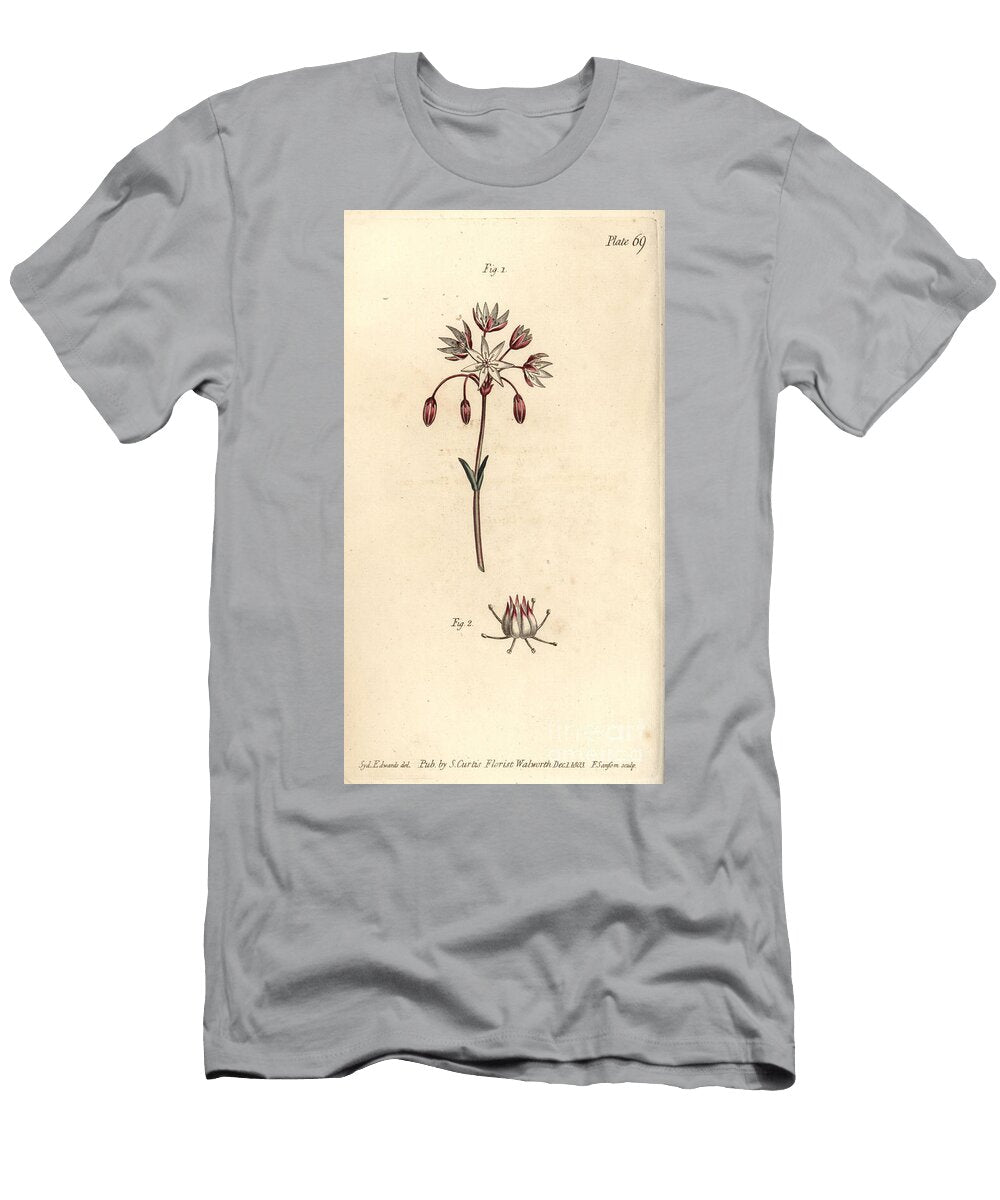 Hermaphrodite Flower with Seven Pistilla Heptagynia Septas Capensis Sydenham Teast Edwards T-Shirt
