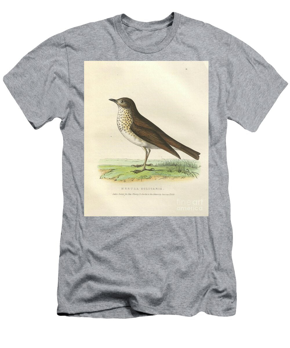 Hermit Thrush Merula Solitaria O1 Historic Illustrations T-Shirt