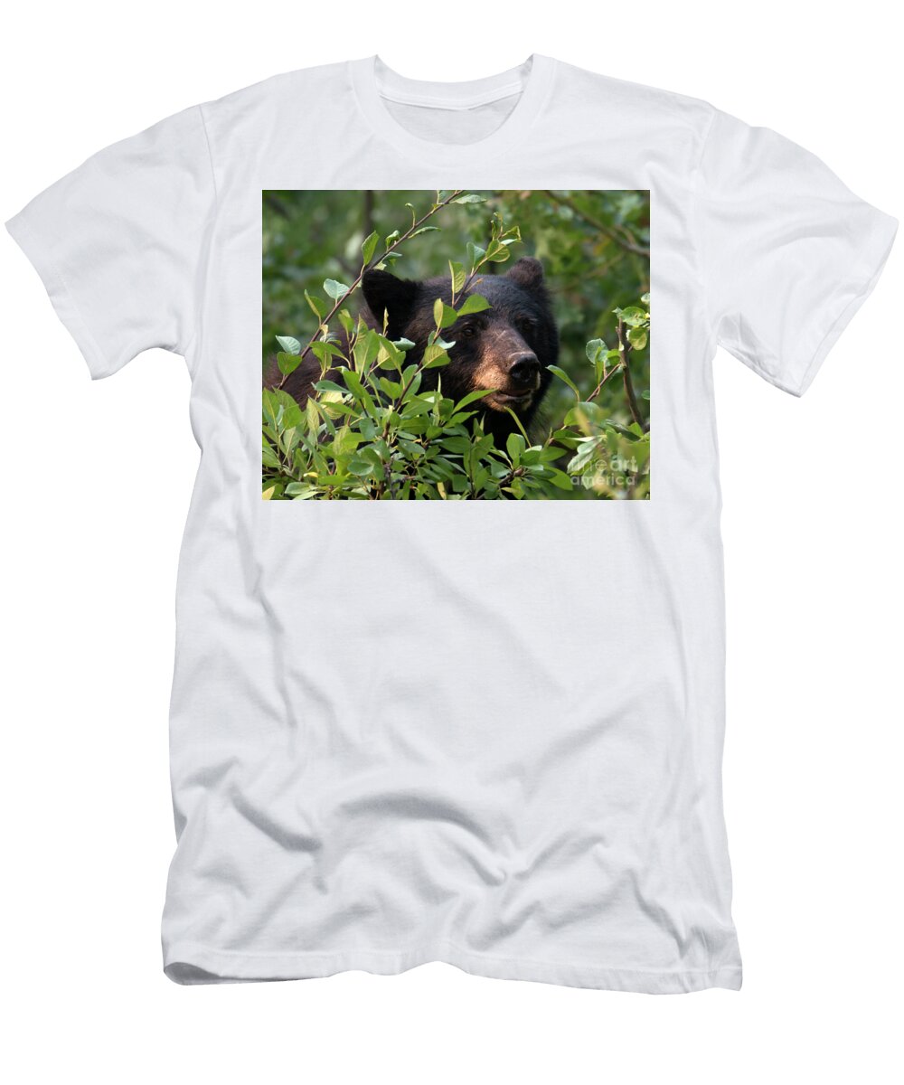 Hidden in the Trees Mike Dawson T-Shirt