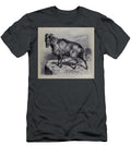 Himalayan Tahr Capra Jemlaica M5 Historic Illustrations T-Shirt