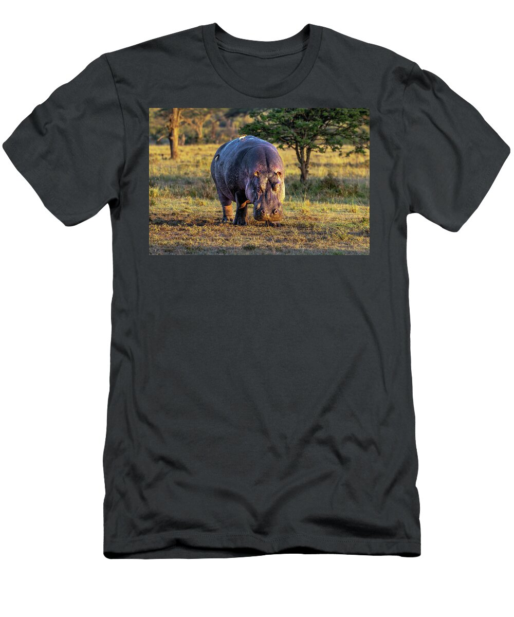 Hippopotamus Bull Out of Water Eric Albright T-Shirt