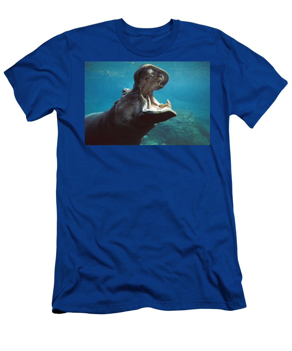 Hippopotamus Hippopotamus Amphibius Zssd T-Shirt