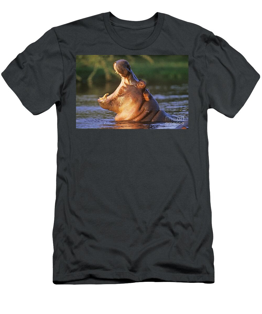 Hippopotamus with Mouth Open Art Wolfe T-Shirt