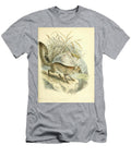 Hoary Fox Canis Canus C1 Historic Illustrations T-Shirt