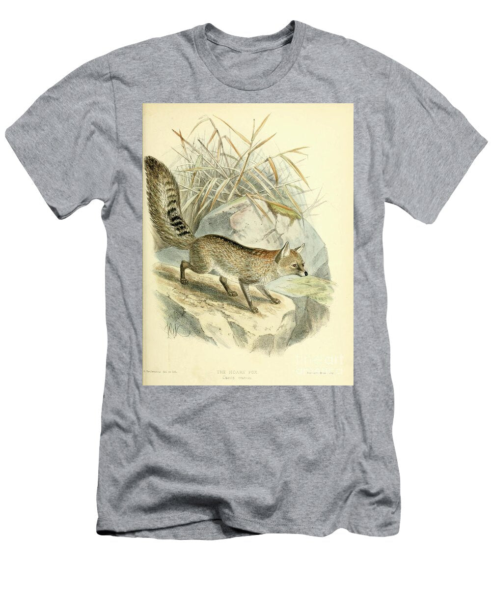 Hoary Fox Canis Canus C1 Historic Illustrations T-Shirt