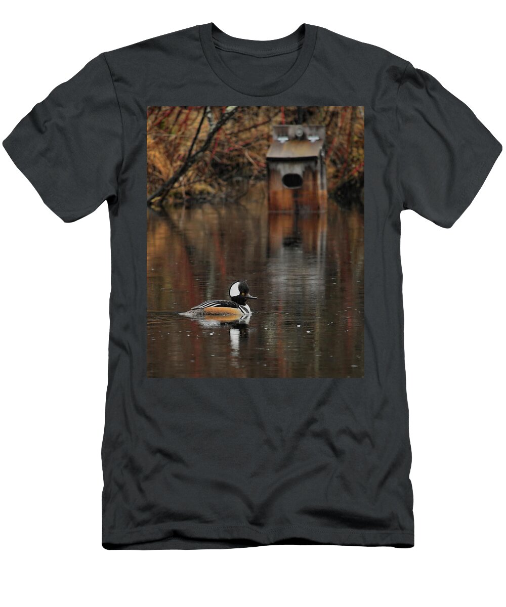 Hoodie and Wood Duck House Dale Kauzlaric T-Shirt