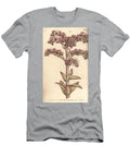 Houseleek Sempervivum Tectorum Dodecagynia Hermaphrodite Flower with 12 Pistilla Sydenham Teast Edwards T-Shirt