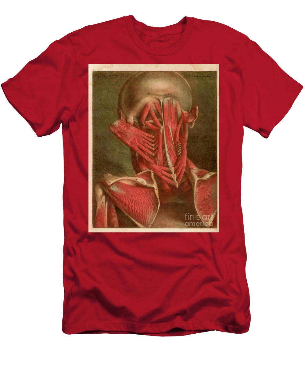 Human Anatomy Essai Danatomie F1 Historic Illustrations T-Shirt