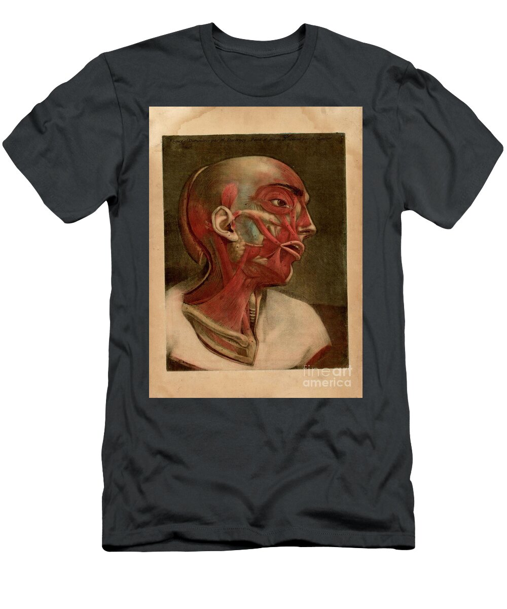 Human Anatomy Essai Danatomie F3 Historic Illustrations T-Shirt