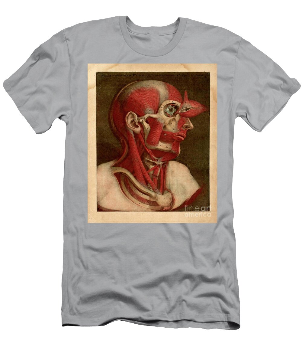 Human Anatomy Essai Danatomie F4 Historic Illustrations T-Shirt