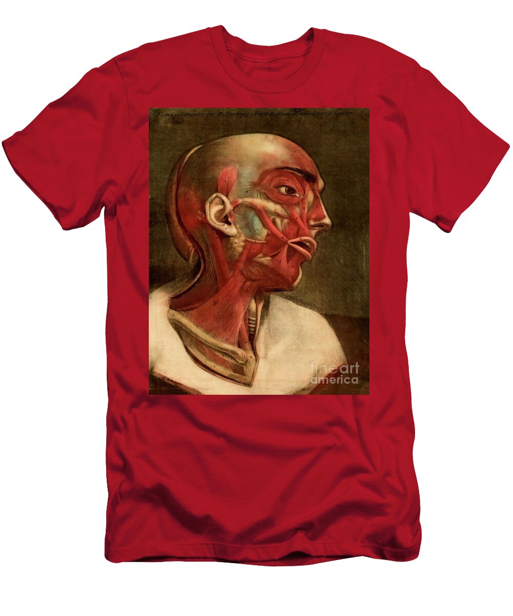 Human Anatomy Essai Danatomie G2 Historic Illustrations T-Shirt