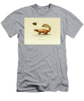 Humboldts Hog Nosed Skunk U1 Historic Illustrations T-Shirt