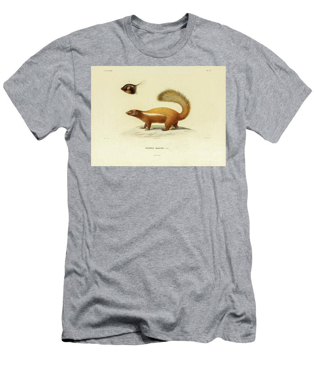 Humboldts Hog Nosed Skunk U1 Historic Illustrations T-Shirt