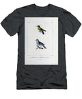 Humming Bird Birds of South America 1835 U1 Historic Illustrations T-Shirt