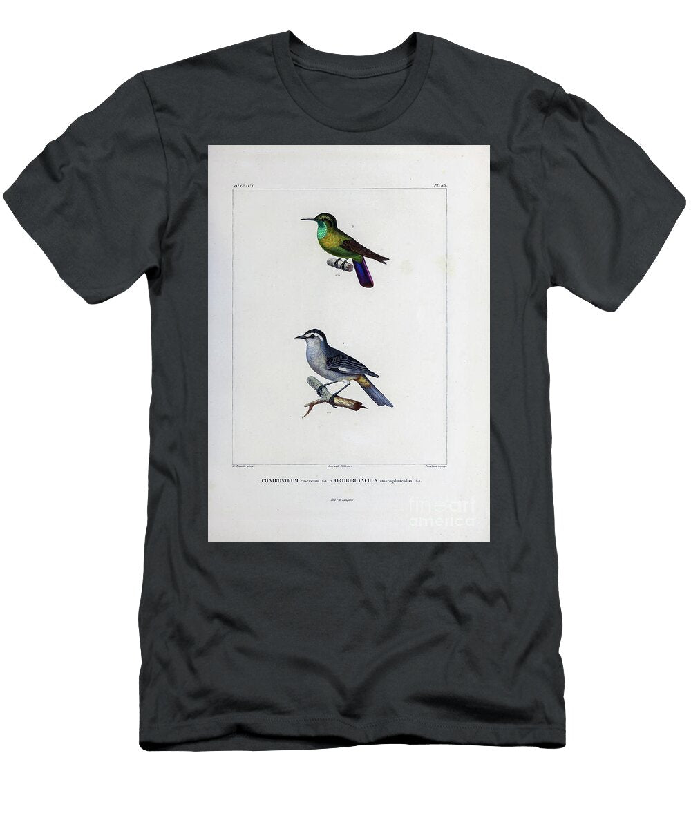 Humming Bird Birds of South America 1835 U1 Historic Illustrations T-Shirt