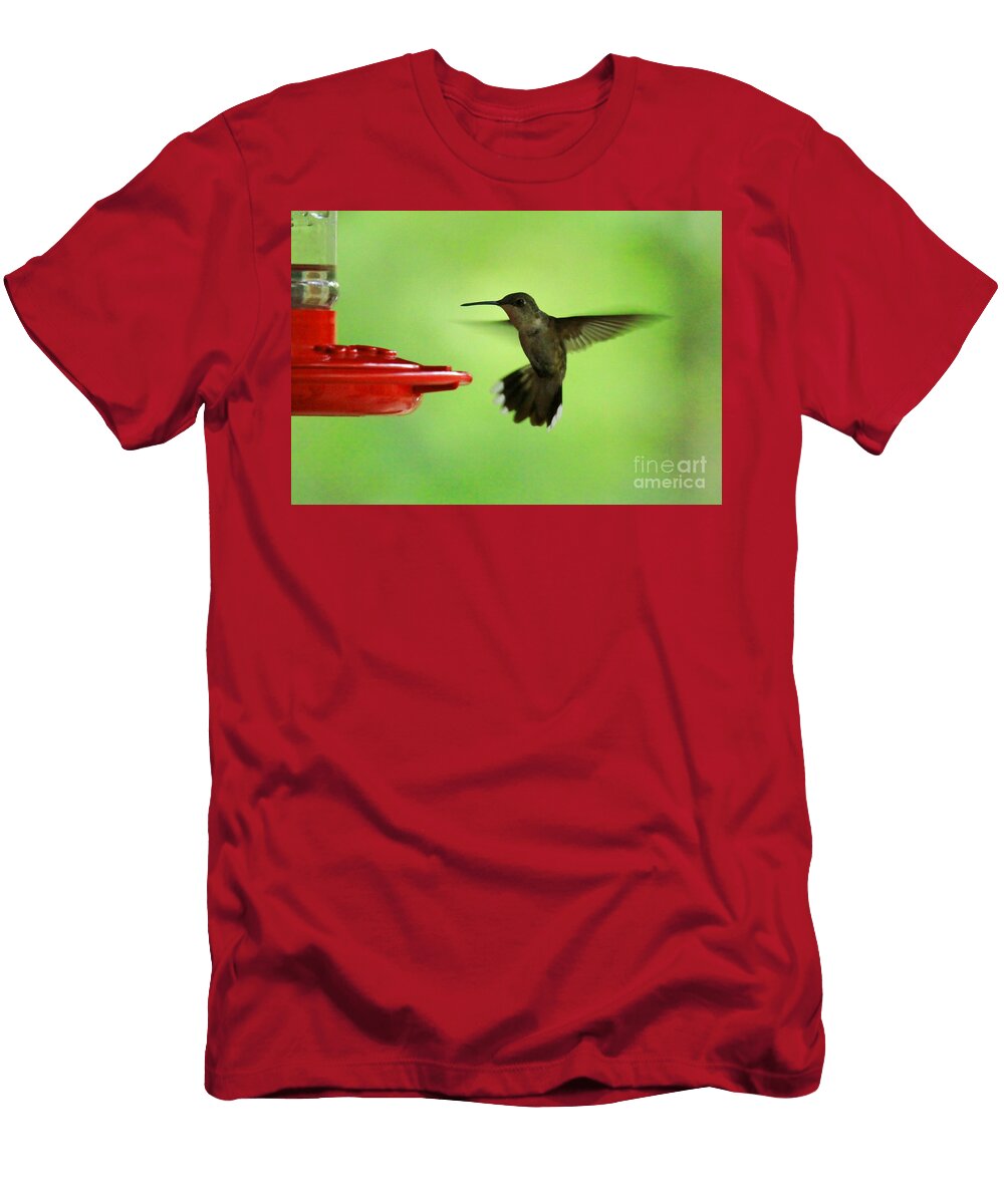 Humming Bird Douglas Sacha T-Shirt