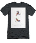 Hummingbirds of South America 1835 U1 Historic Illustrations T-Shirt