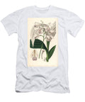 Hyacinth Orchid Hyacinth Orchid Bletilla Striata Japanese Bletia Bletia Gebina European School T-Shirt