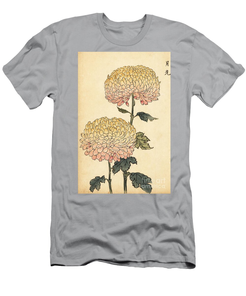 Hybrid Gold and Pink Pompon Chrysanthemum Keika Hasegawa T-Shirt