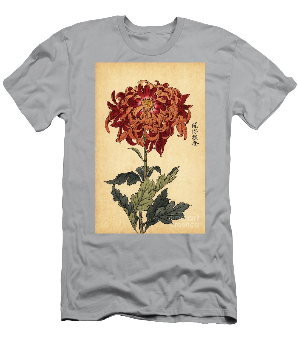 Hybrid Orange and Crimson Chrysanthemum Keika Hasegawa T-Shirt