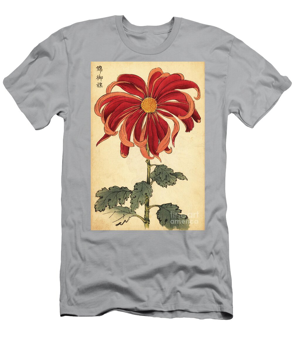 Hybrid Scarlet and Pink Chrysanthemum Keika Hasegawa T-Shirt